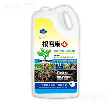 ������-����-�sҫ�r�I(y��)