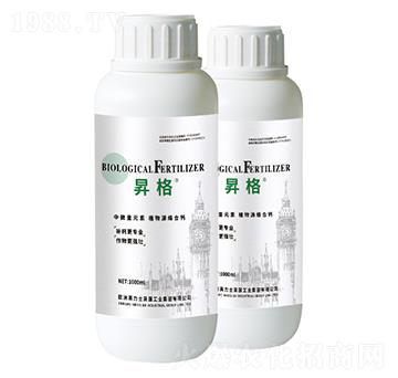 ֲ��Դ�j���}-�N��