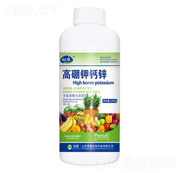 ������}�\��ƿ��-����-�sҫ�r�I(y��)