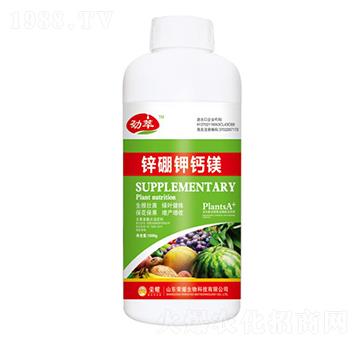 �\����}�V��ƿ��-����-�sҫ�r�I(y��)