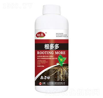 �����-����-�sҫ�r�I(y��)