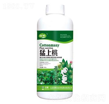 ������-����-�sҫ�r(n��ng)�I(y��)