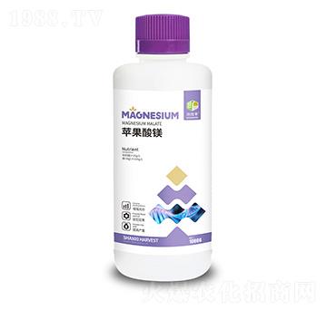 �O�����V-�����S-�ɿ����ʘI(y��)