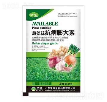 �[���⿹�������-����-�sҫ�r(n��ng)�I(y��)