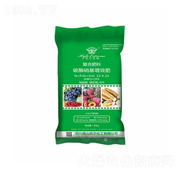 ̼ø������Ч�ͺϷ���12-4-13-�P���ѷʘI(y��)