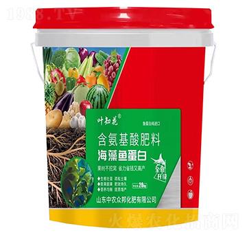 �����~����-�~֪��-���r����