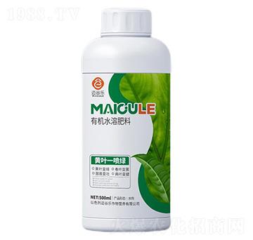 �S�~һ���G�ЙC(j��)ˮ�ܷ���-�~�Ș�(l��)