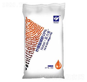 ������12-5-35+Mgo+TE-�Zؐ��