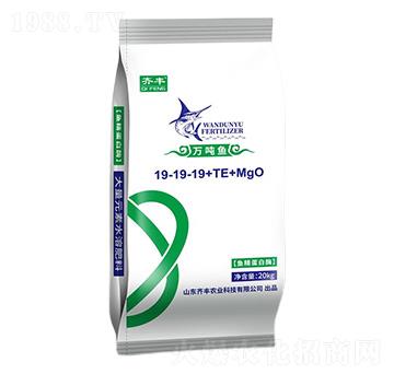 �~������ø����Ԫ��ˮ�ܷ�19-19-19+TE+MgO-�f(w��n)���~-�R�S�r(n��ng)�I(y��)