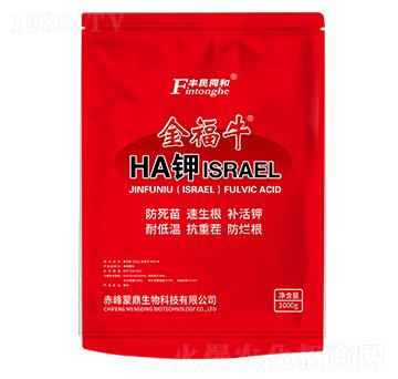 ��ţHA⛣�ISRAEL��-�͝��r(n��ng)�I(y��)
