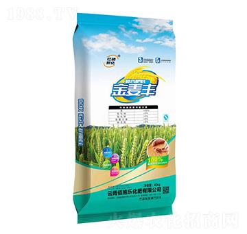 ��(f��)�Ϸ���30-5-5-�����S-��ʩ��(l��)����