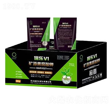 �VԴ�S�����-����V1-��Ƭ�G-���r�S�ʘI(y��)