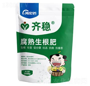 ����������-�R��(w��n)-����S�ʘI(y��)