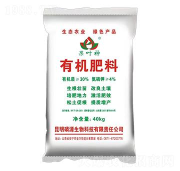 �ЙC����-���~��-���f�ʘI(y��)