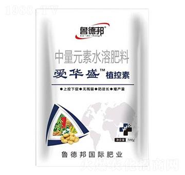 ����Ԫ��ˮ�ܷ���-���Aʢֲ����-��?sh��)°? />
                                </div>
                            </div>
                            
                            <style type=