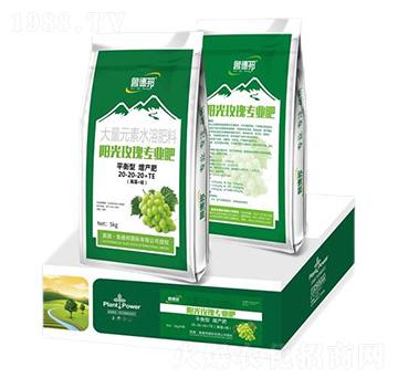 ꖹ�õ�匣��ƽ���ʹ���Ԫ��ˮ�ܷ���20-20-20+TE-��?sh��)°? />
                                </div>
                            </div>
                            
                            <style type=