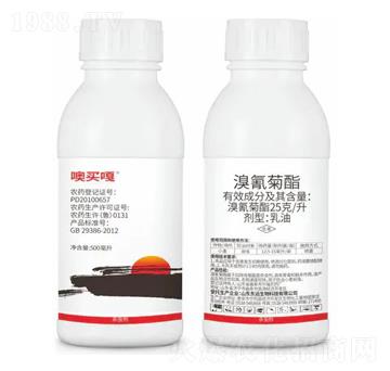 25��ÿ�������������