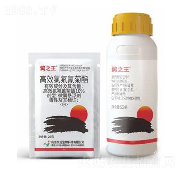 10%��Ч�ȷ������΢