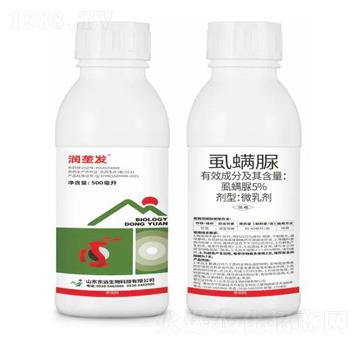 5%ʭ����΢�鄩-����