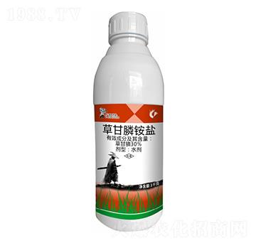 33%�ݸ���@�}-����¡����