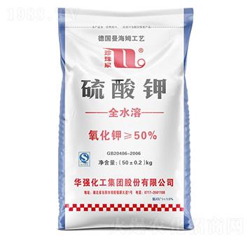 �����-����Ȫ-�A���������F