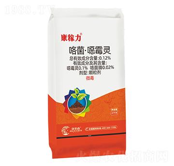 ���������ڲ���-������-����ɭ