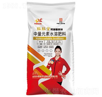 �������}�V���F�\-�ƹ�ʯ-�е����r(n��ng)