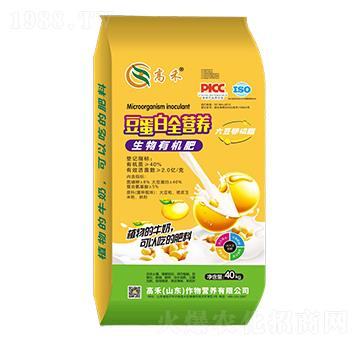 �����נI�B(y��ng)-�����ЙC��-�ߺ�