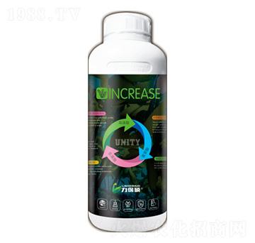 INCREASE-����