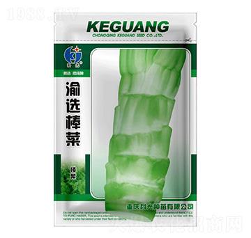 ���x����-�ƹ�N��