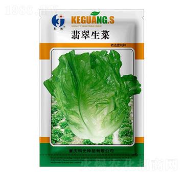 �������-�ƹ�N��