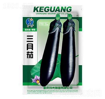 ������-�ƹ�N��