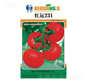 �t�\231-�ƹ�N��