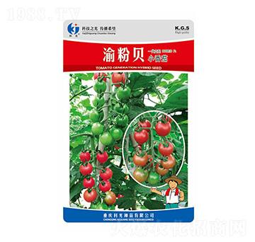 ���ؐ-�ƹ�N��