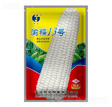 ��Ŵ13̖-�ƹ�N��