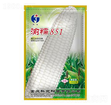 ��Ŵ851-�ƹ�N��