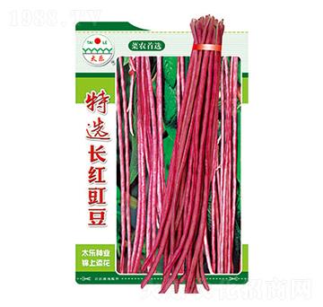 �����N��-���x�L(zh��ng)�t����-̫��(l��)�N�I(y��)