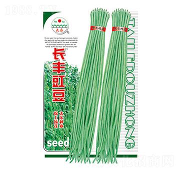 �����N��-�L(zh��ng)�S����-̫��(l��)�N�I(y��)