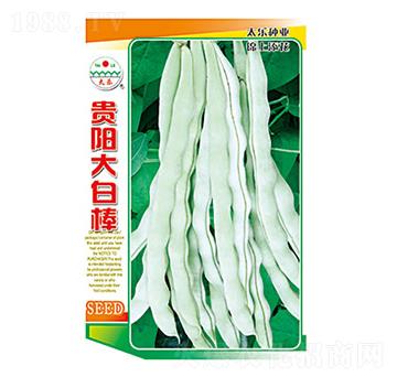 �����N��-�F�(y��ng)��װ�-̫��(l��)�N�I(y��)