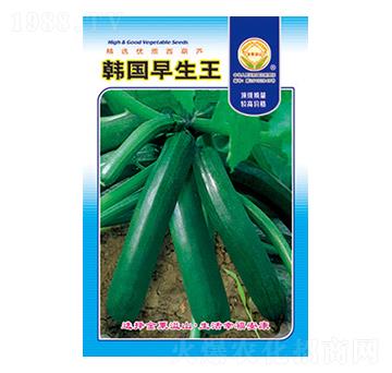 �����J�N��-�n��(gu��)������-̫��(l��)�N�I(y��)