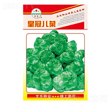 ���˷N��-�ʹڃ���-̫��(l��)�N�I(y��)