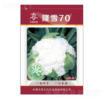 ¡ѩ70-��¡����-��¡�r(n��ng)�I(y��)