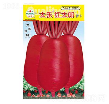 �}���N��-̫��(l��)�t̫��-̫��(l��)�N�I(y��)