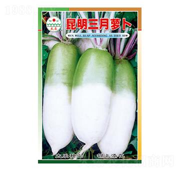 �}���N��-���������}��-̫��(l��)�N�I(y��)