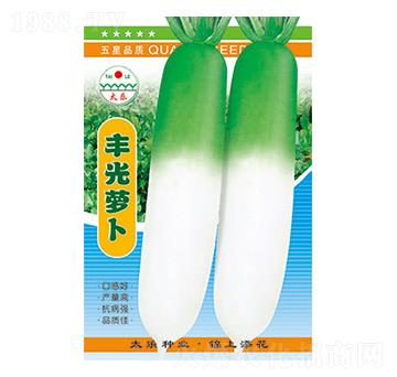 �}���N��-�S���}��-̫��(l��)�N�I(y��)