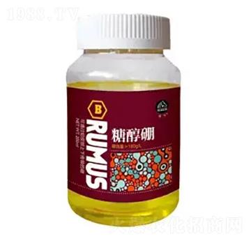 ���R�Ǵ���-�̶�����