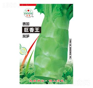 �n�S�N��-̩��(gu��)������-̫��(l��)�N�I(y��)