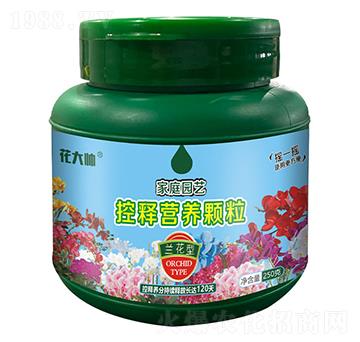 �m���ͼ�ͥ�@ˇ��ጠI(y��ng)�B(y��ng)�w��-����-�G�ַʘI(y��)