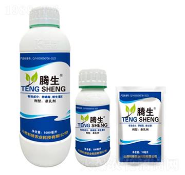 ����֬���S����E-�v��-�õ���