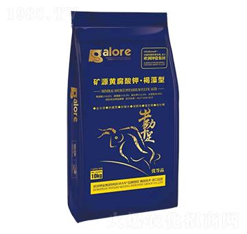 �VԴ�S����⛡�������-����}��(gu��)�H